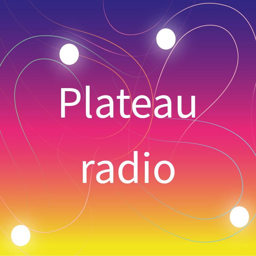 JDLN | Plateau radio : culture numérique avec Radio PRUN' | Nantes